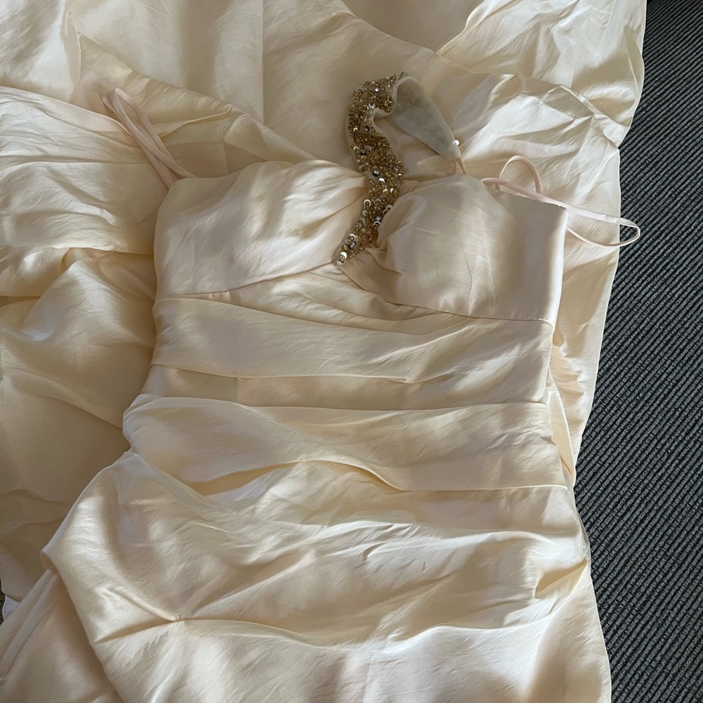 Elegant Cream Strapless David's bridal gown - Picture 3 of 8